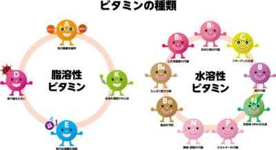 脂溶性ビタミンと水溶性ビタミン